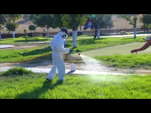 Spagna: focolaio di febbre del Nilo