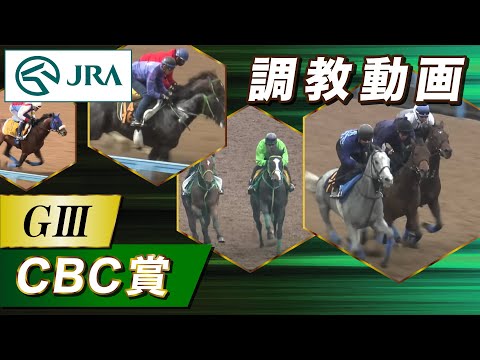 【調教動画】2025年 CBC賞｜JRA公式