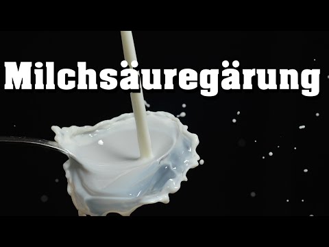 Milchsäuregärung schnell erklärt
