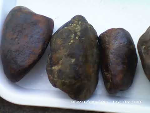 Meteorites or ordinary stones?