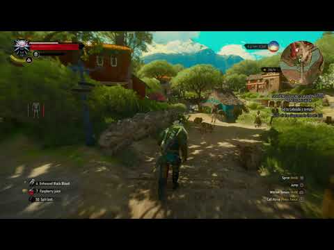 The Witcher 3 Wild Hunt pt 138 Encumbered