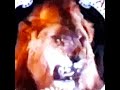 MGM 1934 Logo But It Keeps Getting Faster