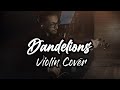 Dandelions - Violin Cover