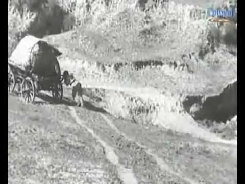 Radu Paladi -Suita Ciulinii Bărăganului -Soundtrack -Orchestra din Botoșani -Dirijor Radu Paladi