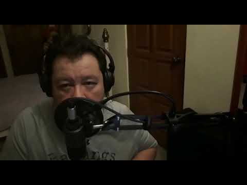 Man in the Mirror - Michael Jackson (Shark Cover)