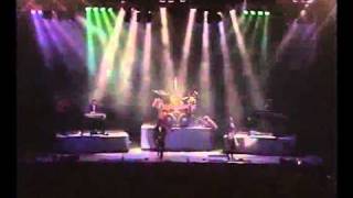 Pooh - Pronto buongiorno è la sveglia, Notte a sorpresa, Non siamo in pericolo, Viva..