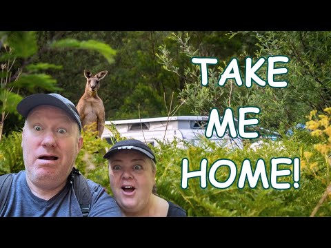 Let's Try Camping! It'll Be Fun Al Said! 😱 Park River Bend Bush Camp