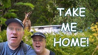 Let's Try Camping! It'll Be Fun Al Said! 😱 Park River Bend Bush Camp