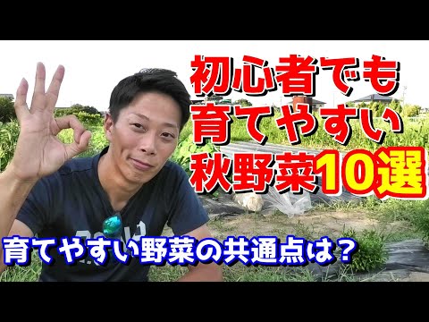  9月に植える野菜は何ですか？  庭園