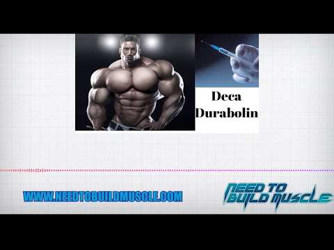 [Profiles] Deca Durabolin -"What is Nandrolone" 1/10 | Clip from Evolutionary Podcast Episode | #280