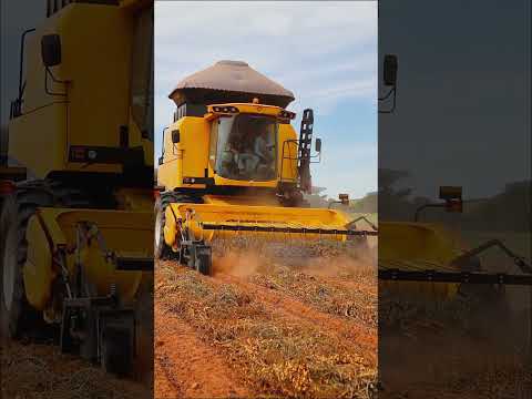 O agro move o mundo!