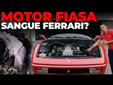 Questions and Answers about FIASA Engines | Cars & Tips #244