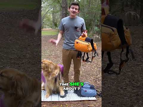 Dog Backpack Weight: How Much Should Your Dog Carry?