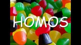 DANZIG - HOMOS MUSIC VIDEO HELLMASK (STEREO MIX)