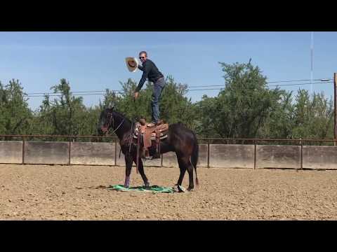 LOT #29: MM True Black (2019)