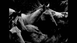 Emma Ruth Rundle - Darkhorse (full version)