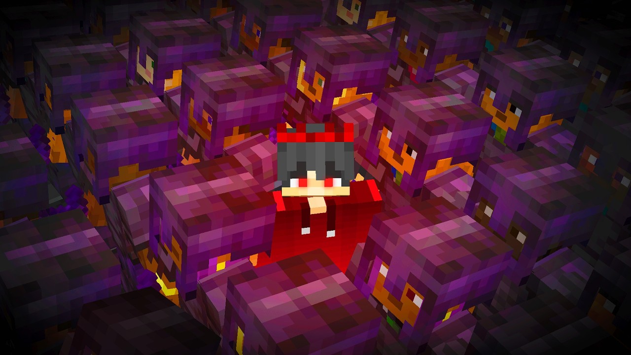 I Went Undercover On My Fans Minecraft Server