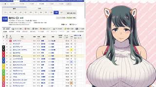 【マイルチャンピオンシップ】犬耳おばさんの日曜競馬予想配信【秋色ステークス】