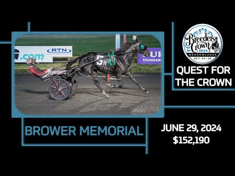 2024 Brower Memorial | Abuckabett Hanover | Open Pace