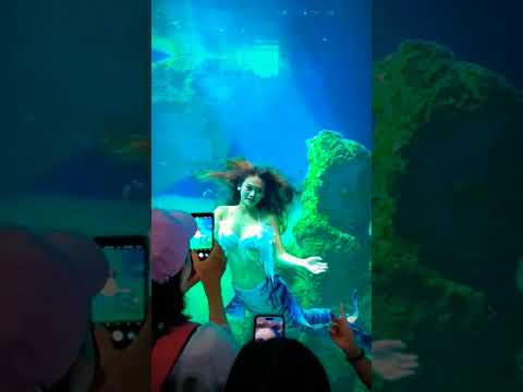 underwater dance mermaid merman - choreography part 2#shorts