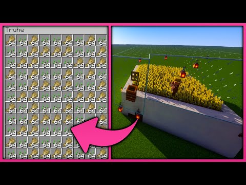 geniale WEIZENFARM in MINECRAFT die AUTOMATISCH funktioniert (1.21)