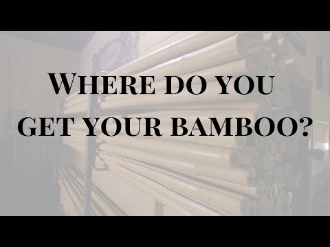 Where do you get your bamboo?