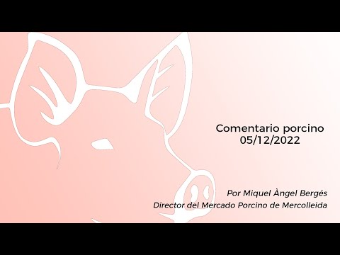 Comentario porcino - 05/12/2022