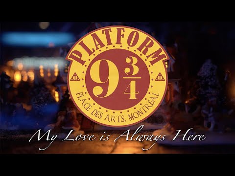 My Love is Always Here (Harry Potter) 🎄❄️ - Alexandre Desplat (Clarinet Cover)