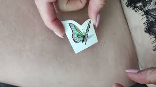 Temporary tattoos  2 Butterfly   Sticker Tattoo