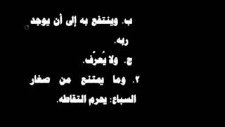 شرح فروع الفقه لابن المبرد 28 image