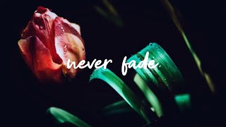 Katelyn Tarver - Never Fade [Lyrics]