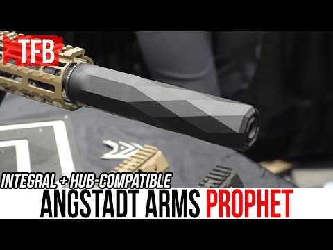 Angstadt Arms NO-BAFFLE Suppressed Ruger 10/22