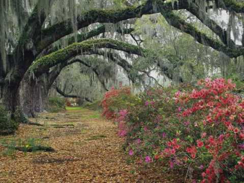 Josué Rodrigues - Carvalhos de Justiça