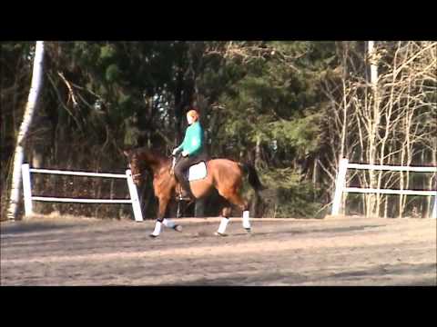 Vallak (2003) selges!