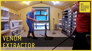 Snake Venom Extractor // 60 Second Docs