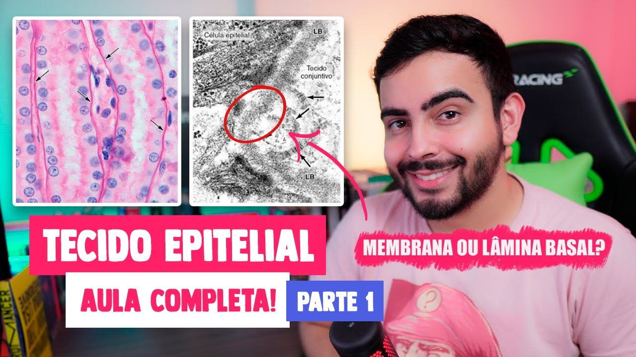 Histologia - Tecido Epitelial: Estroma e Parênquima, Lâmina Basal (Capítulo 4 - PARTE 1) │JUNQUEIRA