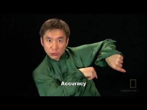 download lagu mp3 mp4 Kung Fu Forms Names, download lagu Kung Fu Forms Names gratis, unduh video klip Kung Fu Forms Names