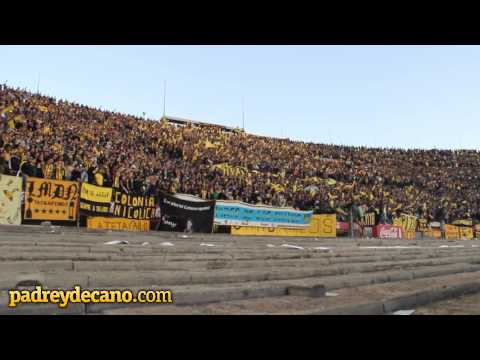 "Así vivió la hinchada de Peñarol la goleada 3 a 0" Barra: Barra Amsterdam &bull; Club: Peñarol