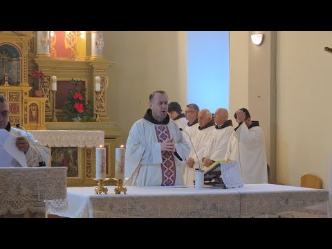 Propovijed fra Damira Pavića danas u DocuŽUPNE CRKVE UZESENJA BLAŽENE DJEVICE MARIJEDOLACSveti 