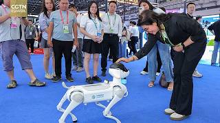 Hainan acoge la 6ª Exposición Internacional de Productos de Consumo de China