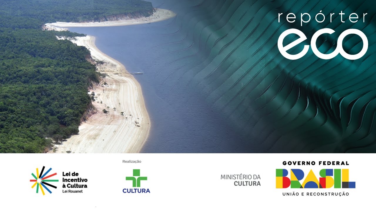 Repórter Eco | Peixes Elétricos | 14/07/2024