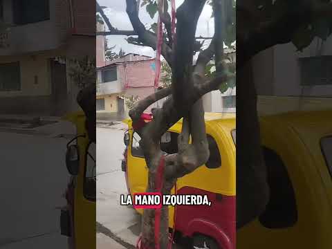 Día 8 recomendandote lugares donde comer rico y barato aqui en Andahuaylas