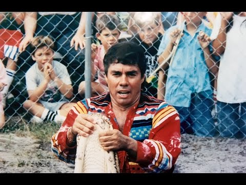 afbeelding Wrestling Alligators