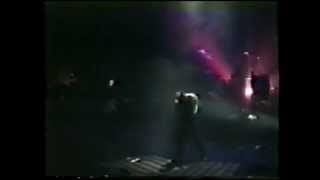 Peter Murphy - 1988 Dragnets Drag