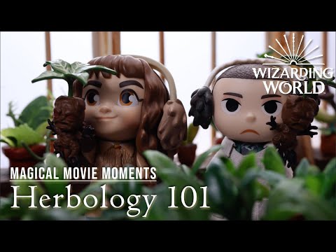 HERBOLOGY 101 | Magical Movie Moments In Real Life