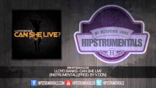 Lloyd Banks - Can She Live [Instrumental] (Prod. By V.Don) + DOWNLOAD LINK
