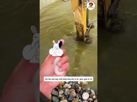 Tìm Đá Đổi Đời: Vừa Đào Đã Gặp “Siêu Phẩm” Màu Tím!