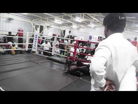 Mma show fight paalee the tiger sathishwer