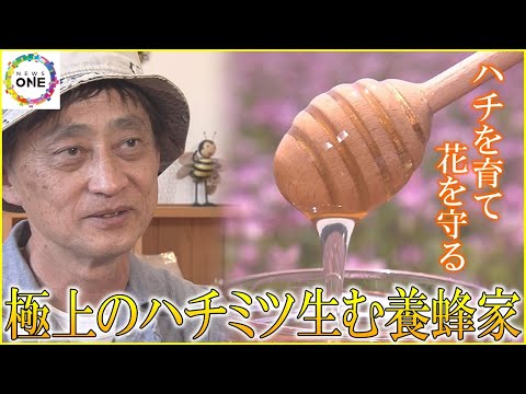 花粉媒介者を惹きつける菜園に最適な蜂蜜植物は何ですか?  庭園