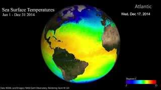 Sea Surface Temperatures for 2014